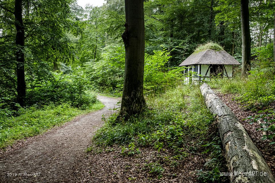 Auf dem Weg zum Gendarmstien beim Niehuussee in Padborg // Foto: MeerART