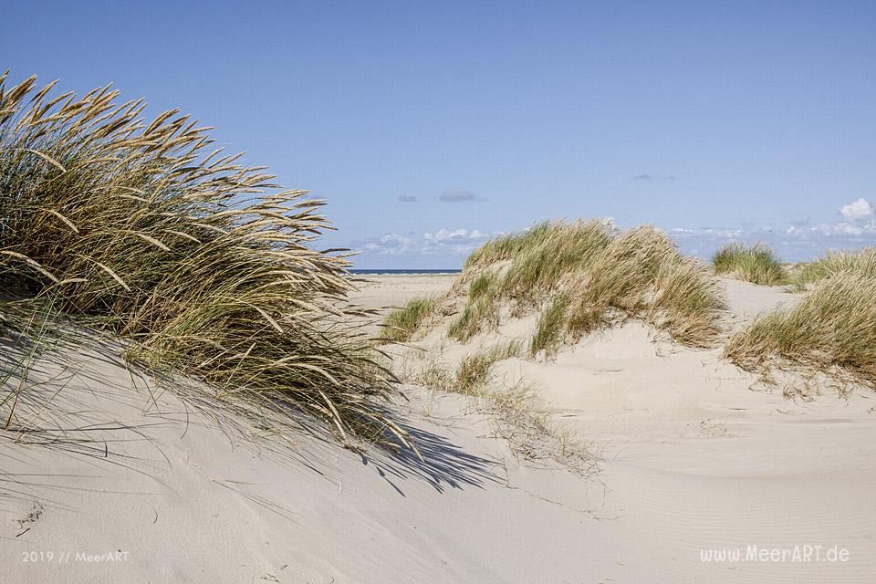 Ein Tag Auszeit auf der dänischen Wattenmeerinsel Rømø // Foto: MeerART / Ralph Kerpa