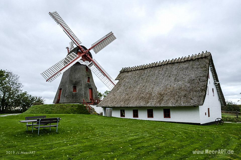 Die Havenbjerg Windmühle bei Nordborg // Foto: MeerART