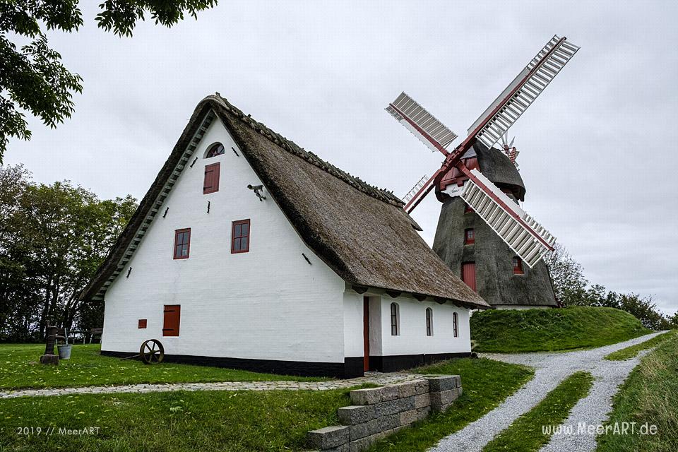 Die Havenbjerg Windmühle bei Nordborg // Foto: MeerART