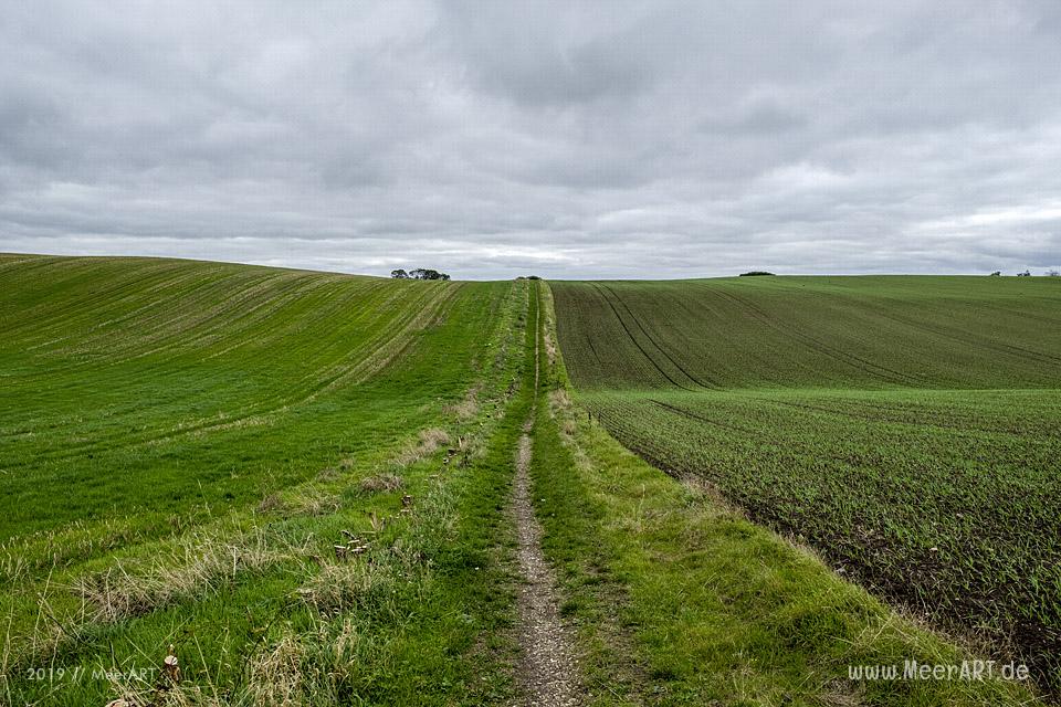 Rundwanderweg um den Nordborg Sø // Foto: MeerART
