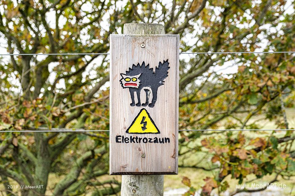 Herbstspaziergang im idyllischen Naturschutzgebiet Geltinger Birk // Foto: MeerART