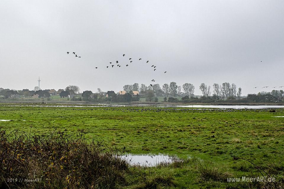 Herbstspaziergang im idyllischen Naturschutzgebiet Geltinger Birk // Foto: MeerART