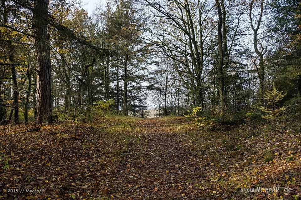 Die Süderlügumer Binnendüne und ein Märchenwald // Foto: MeerART / Ralph Kerpa
