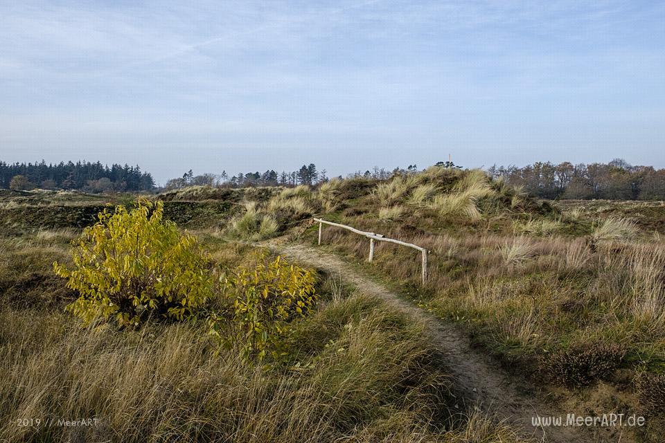 Die Süderlügumer Binnendüne und ein Märchenwald // Foto: MeerART / Ralph Kerpa