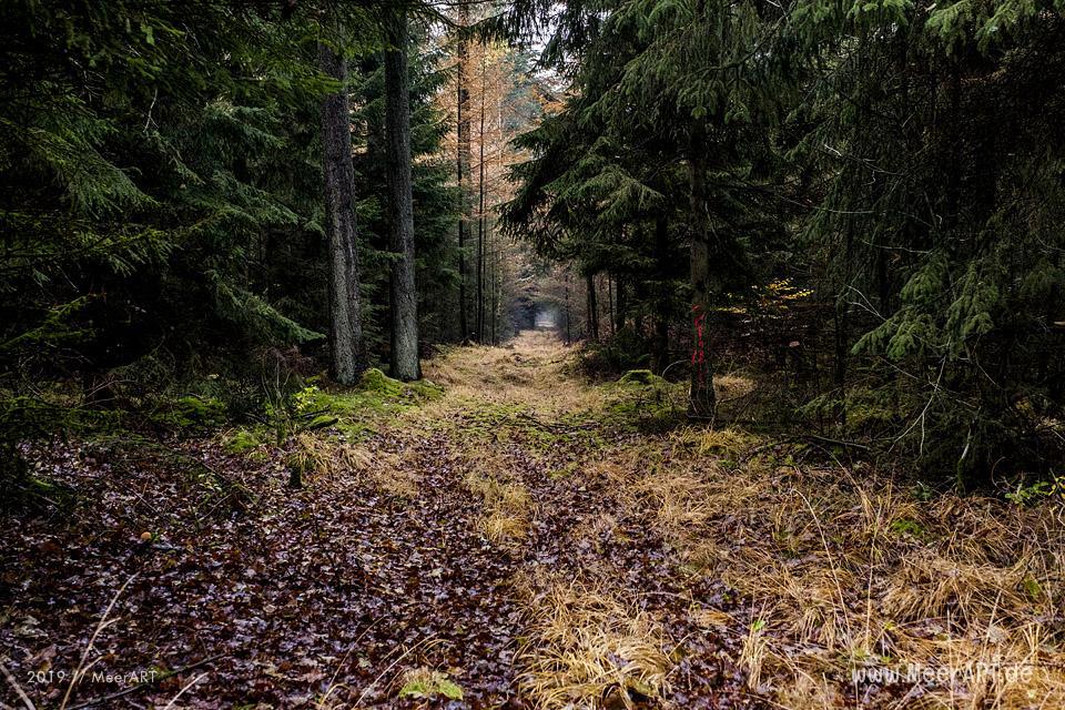 Die Süderlügumer Binnendüne und ein Märchenwald // Foto: MeerART / Ralph Kerpa