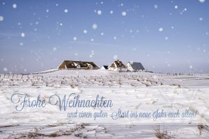 Winterlandschaft auf der Hamburger Hallig // Foto: Ralph Kerpa