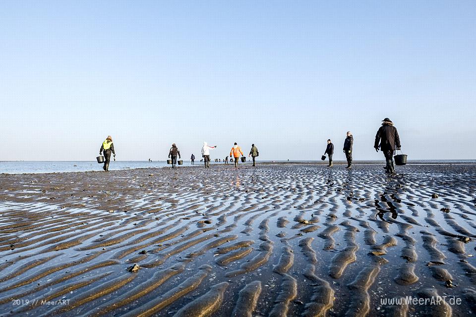 Zum Ausklang des Jahres noch einmal nach Rømø, mit Austernsafari und 4 Gänge Menü // Foto: MeerART / Ralph Kerpa