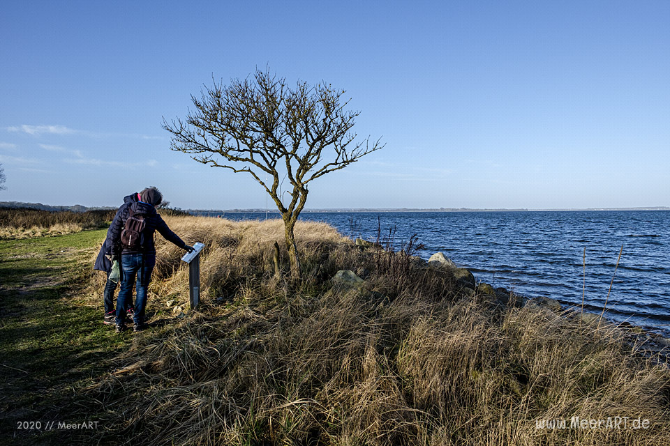Ein Sonntagsspaziergang an der Ostseeküste in Bockholmwik // Foto: MeerART