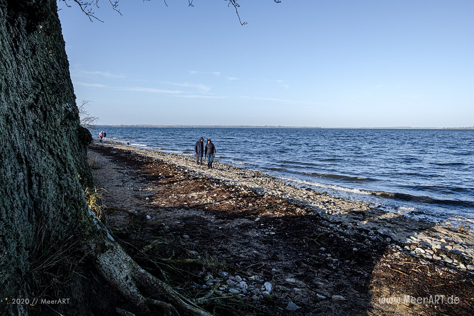 Ein Sonntagsspaziergang an der Ostseeküste in Bockholmwik // Foto: MeerART