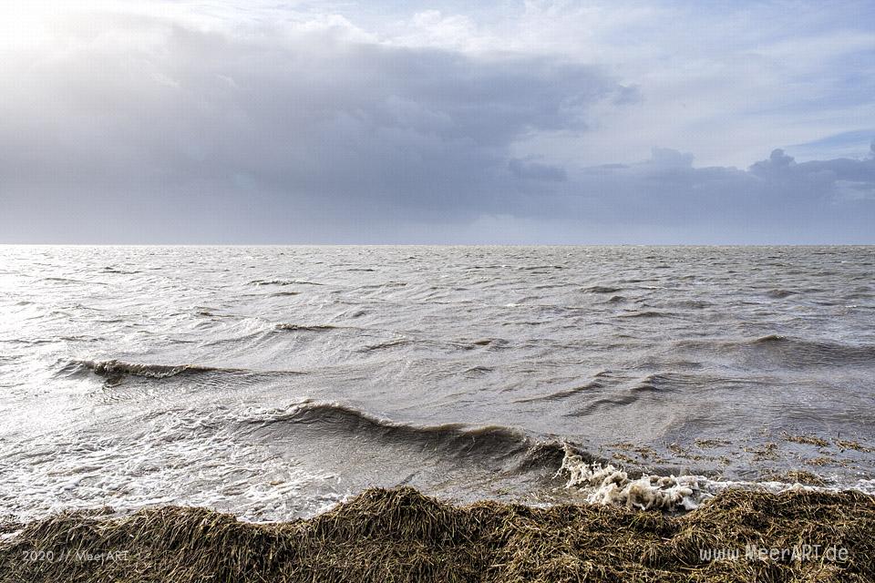 Das Sturmtief Sabine trifft auf die Westküste hier an der Küste in den Reußenkögen // Foto: MeerART