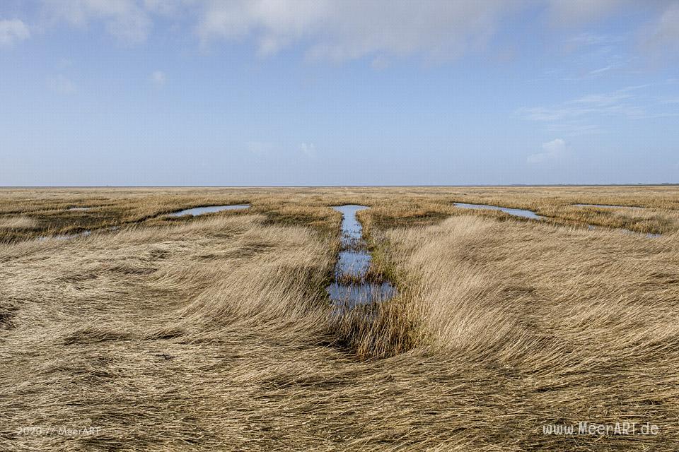 Ein fantastischer Wintertag auf der Hamburger Hallig // Foto: MeerART