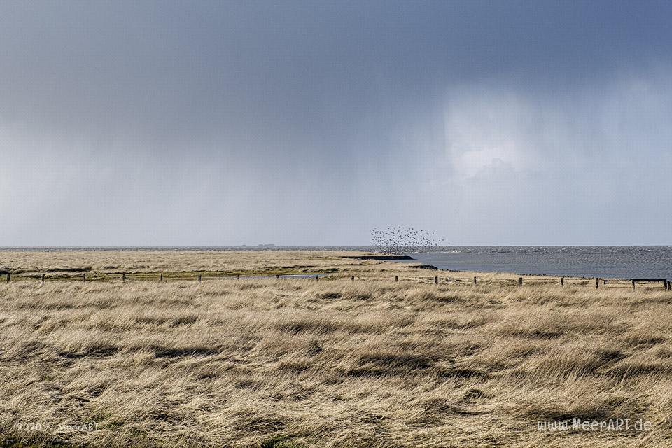 Ein fantastischer Wintertag auf der Hamburger Hallig // Foto: MeerART