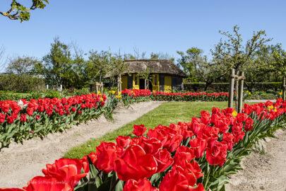 Der Nolde Garten in Seebüll ist ein wahrer Augenschmaus MeerART