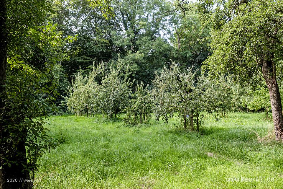 Der Hochdorfer Garten in Tating bei St. Peter-Ording / Foto: MeerART
