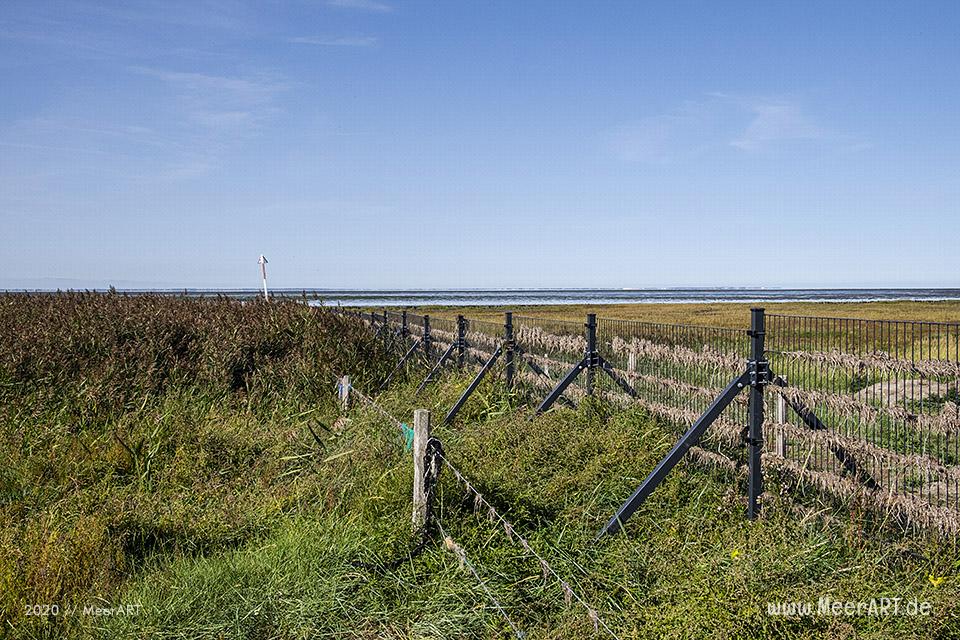 Aktion im Rickelsbüller Koog beim „Grenzenløs Daag 2020“ // Foto: MeerART