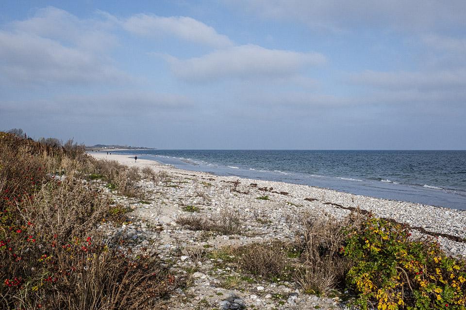 Herbstspaziergang an der Ostsee von Kronsgaard nach Ohe-Maasholm // Foto: MeerART