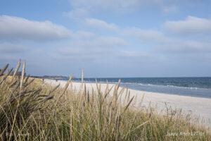 Herbstspaziergang an der Ostsee von Kronsgaard nach Ohe-Maasholm // Foto: MeerART