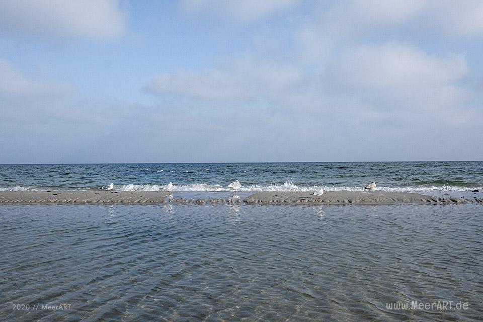 Herbstspaziergang an der Ostsee von Kronsgaard nach Ohe-Maasholm // Foto: MeerART