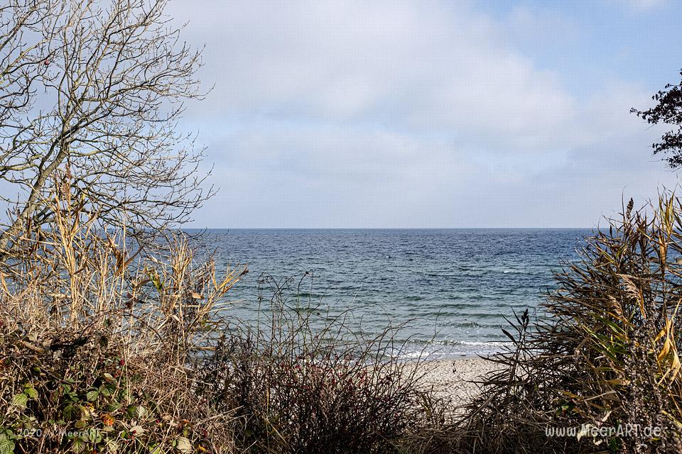Herbstspaziergang an der Ostsee von Kronsgaard nach Ohe-Maasholm // Foto: MeerART