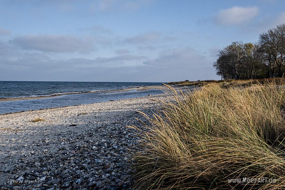 Herbstspaziergang an der Ostsee von Kronsgaard nach Ohe-Maasholm // Foto: MeerART