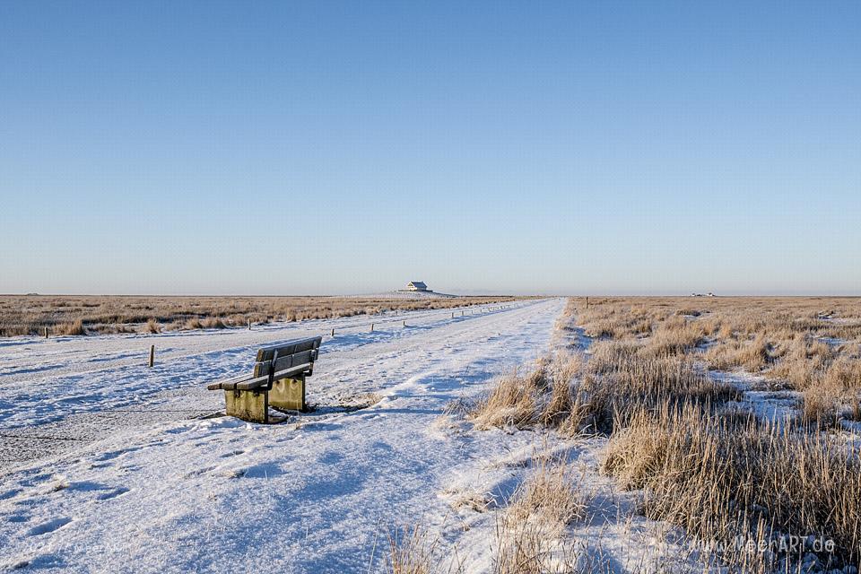 Winter 2021 auf der Hamburger Hallig Nordfriesland // Foto: MeerART