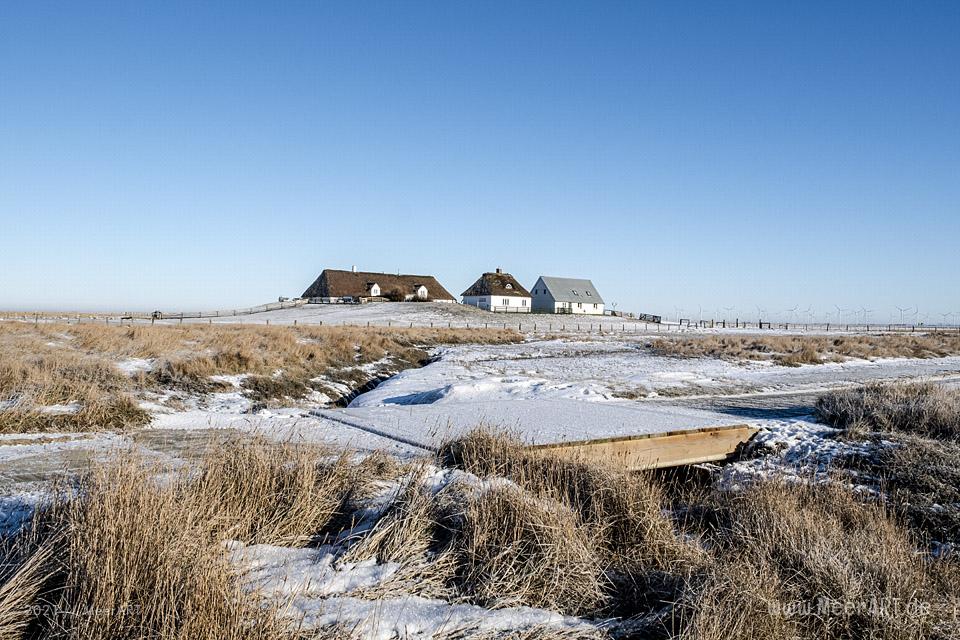 Winter 2021 auf der Hamburger Hallig Nordfriesland // Foto: MeerART