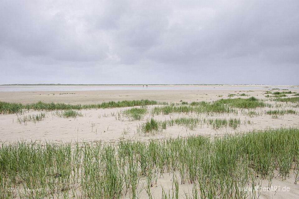 Nach 15 Monaten Abstinenz endlich wieder bei Freunden auf Amrum // Foto: MeerART / Ralph Kerpa
