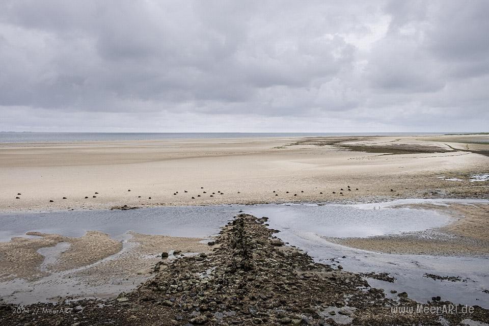 Nach 15 Monaten Abstinenz endlich wieder bei Freunden auf Amrum // Foto: MeerART / Ralph Kerpa