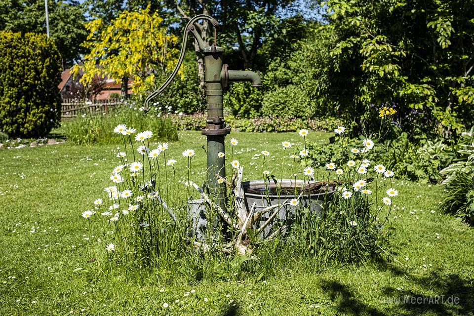 Der idyllische „MeerART-Garten“ in Langenhorn Nordfriesland // Foto: MeerART/Ralph Kerpa