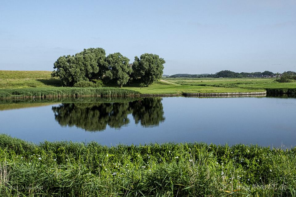 Nordfriesische Idylle am Deich // Foto: MeerART / Ralph Kerpa