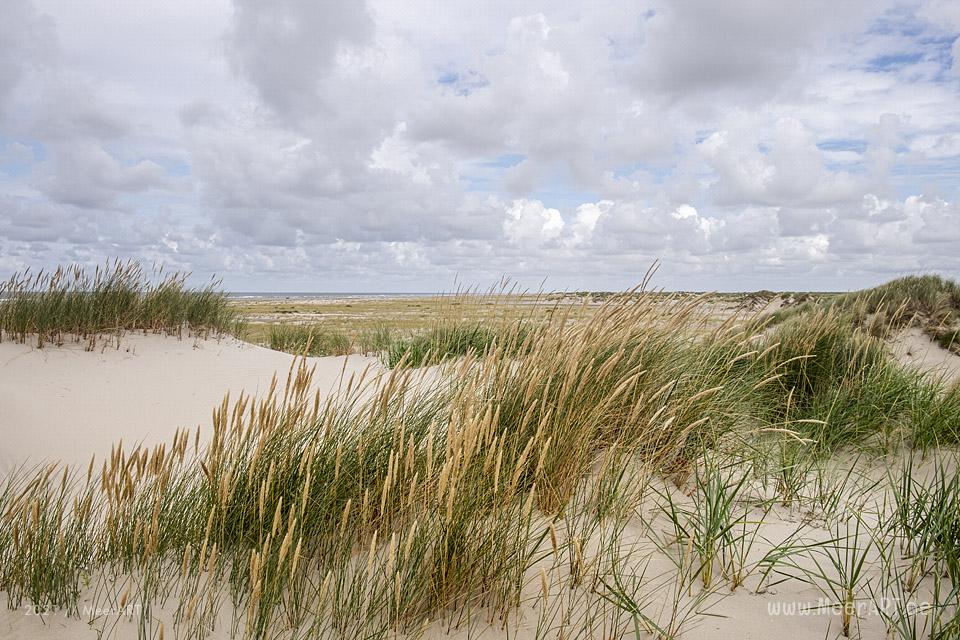 Bewegende Stunden auf Rømø // Foto: MerART / Ralph Kerpa