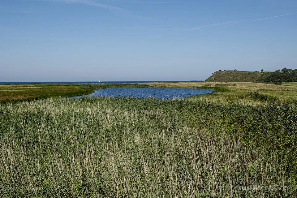 Natur pur auf der idyllischen Halbinsel Helnæs // Foto: MeerART / Ralph Kerpa