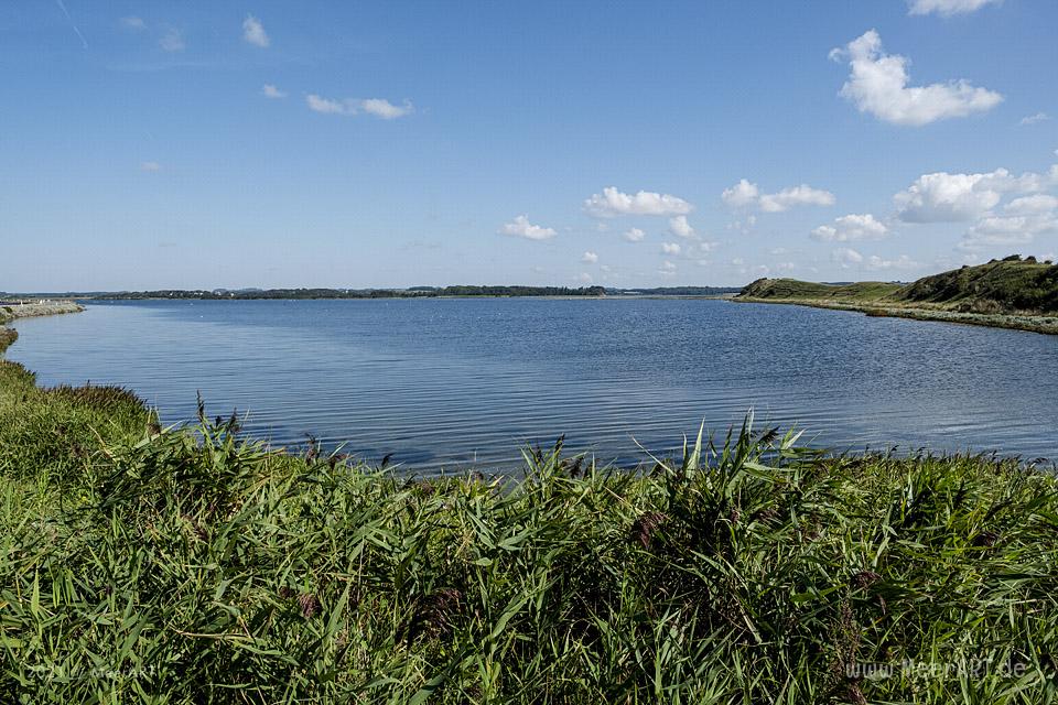 Natur pur auf der idyllischen Halbinsel Helnæs // Foto: MeerART / Ralph Kerpa