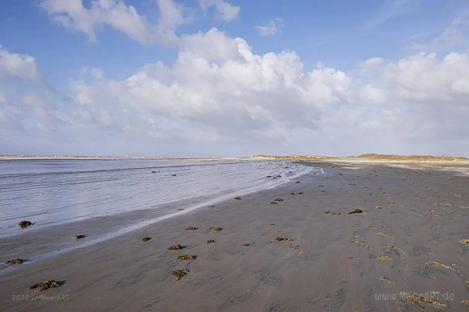 MaRK3408 - Nordsee - Daenemark - Ein stuermischer Ausflug nach Roemoe // Foto: MeerART