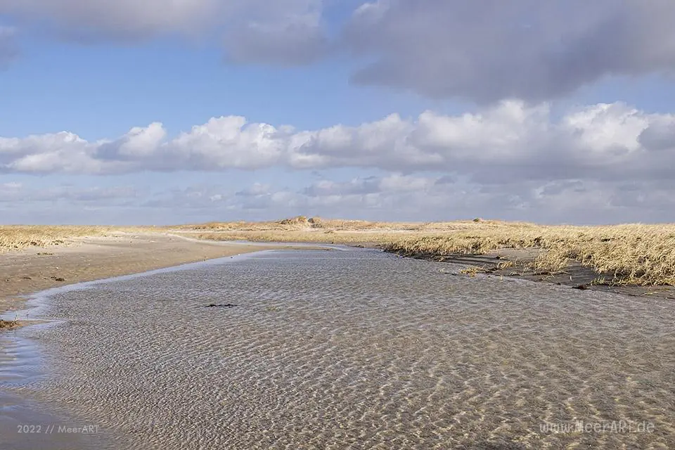 MaRK3408 - Nordsee - Daenemark - Ein stuermischer Ausflug nach Roemoe // Foto: MeerART