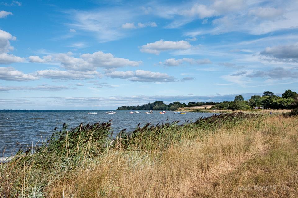 Auf dem Holzweg in der Habernisser Au - Das Motiv ist als Wandbild vom Meer bei uns erhältlich // Foto: MeerART