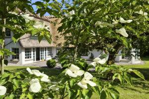 Urlaub an der Schlei im idyllischen Ferienhaus Ostwind in Boren