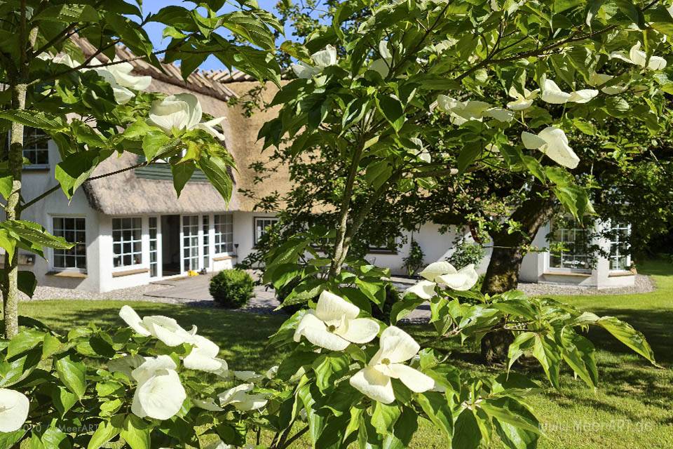 Urlaub an der Schlei im idyllischen Ferienhaus Ostwind in Boren