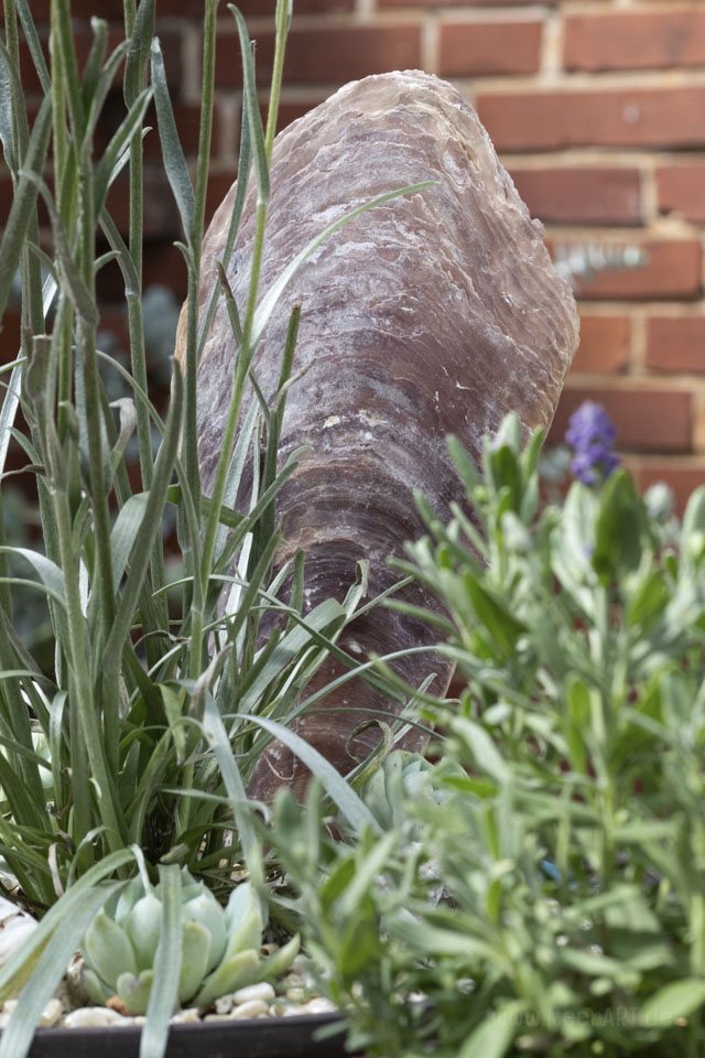 Hol dir das Meer nach Hause - Nordische Dekoideen für den heimischen Garten