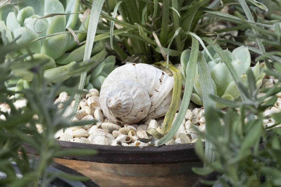 Hol dir das Meer nach Hause - Nordische Dekoideen für den heimischen Garten