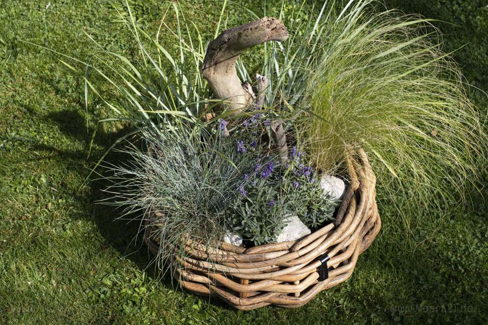 Hol dir das Meer nach Hause - Nordische Dekoideen für den heimischen Garten