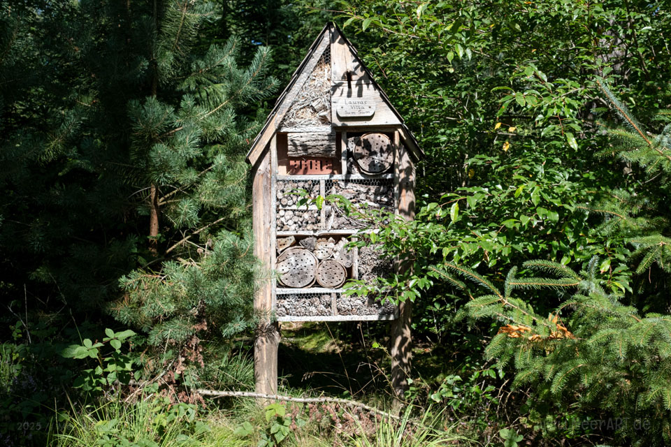 Walk & Talk: Rundwanderung durch das Naturschutzgebiet Langenhorner Heide