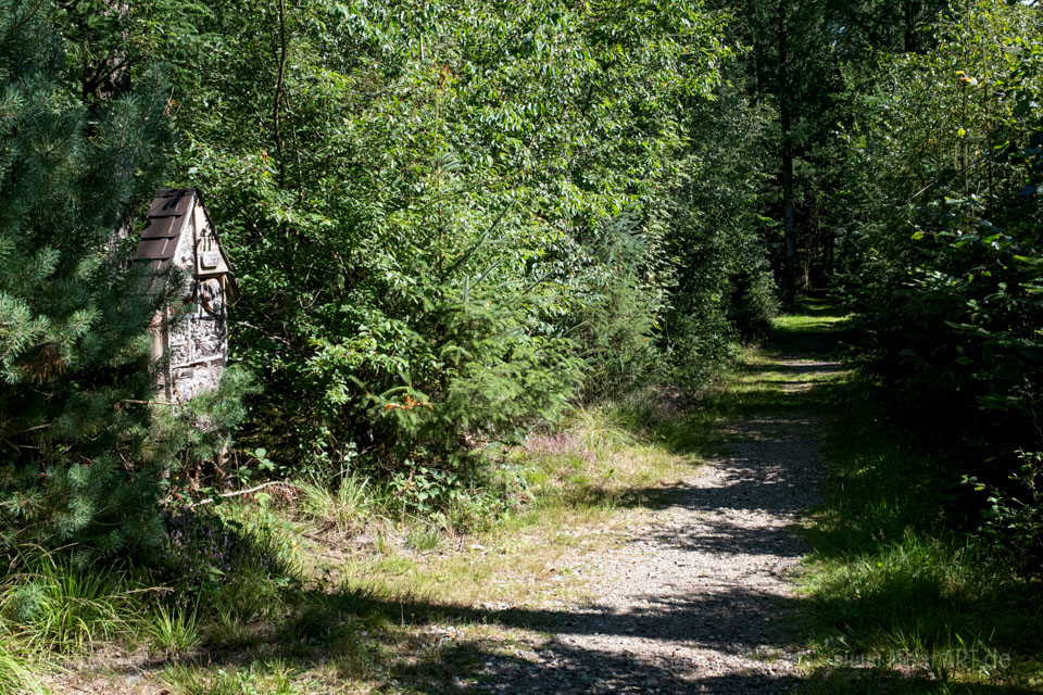 Walk & Talk: Rundwanderung durch das Naturschutzgebiet Langenhorner Heide
