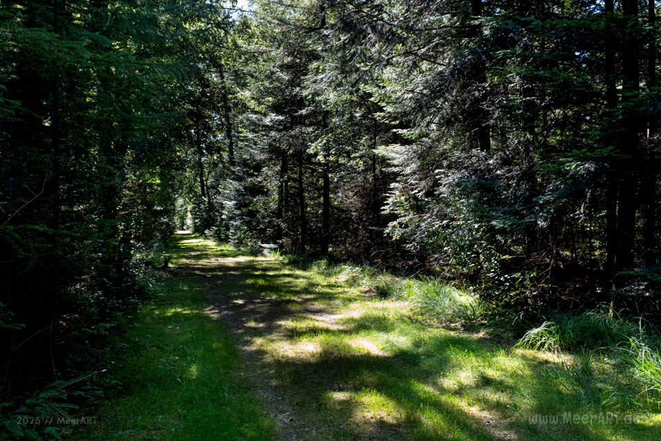 Walk & Talk: Rundwanderung durch das Naturschutzgebiet Langenhorner Heide