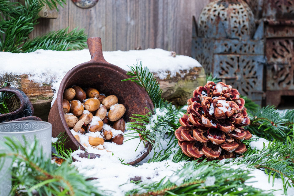 MeerART Dekoideen - Weihnachtliche Dekoration für den Garten // Foto: MeerART / Ralph Kerpa