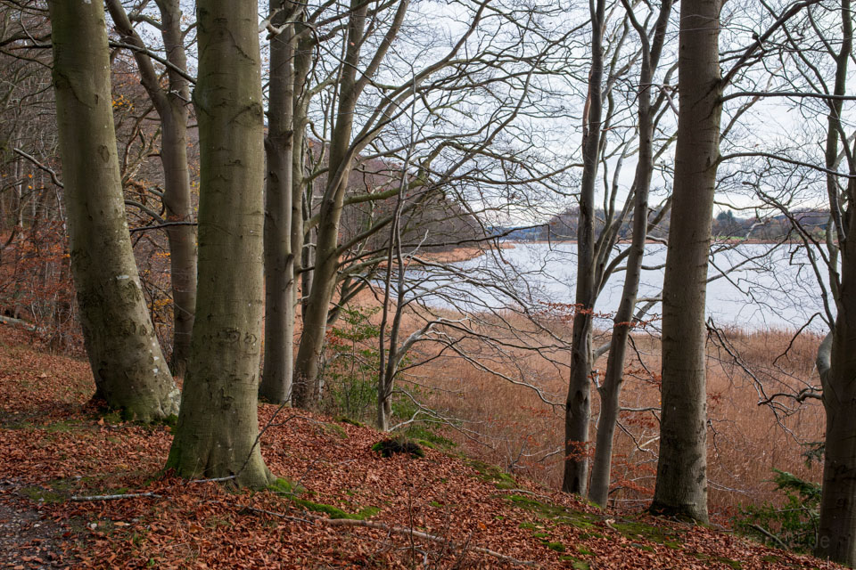 Ein Herbstspaziergang auf der Halbinsel Houens Odde