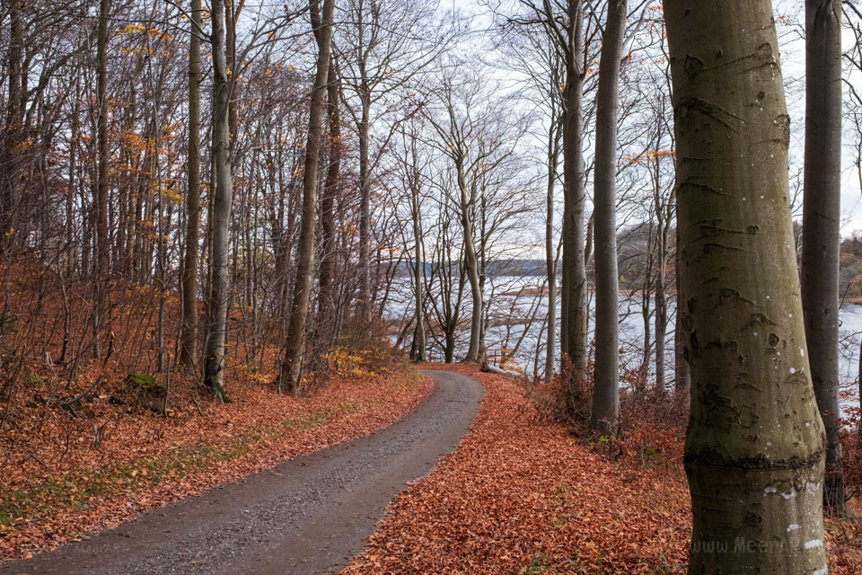 Ein Herbstspaziergang auf der Halbinsel Houens Odde