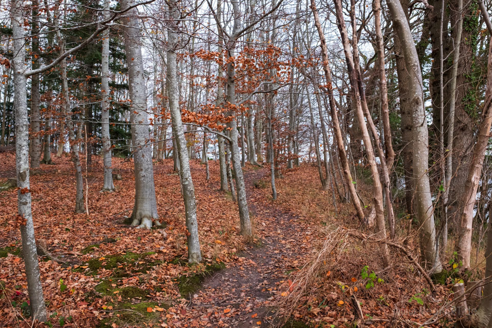Ein Herbstspaziergang auf der Halbinsel Houens Odde