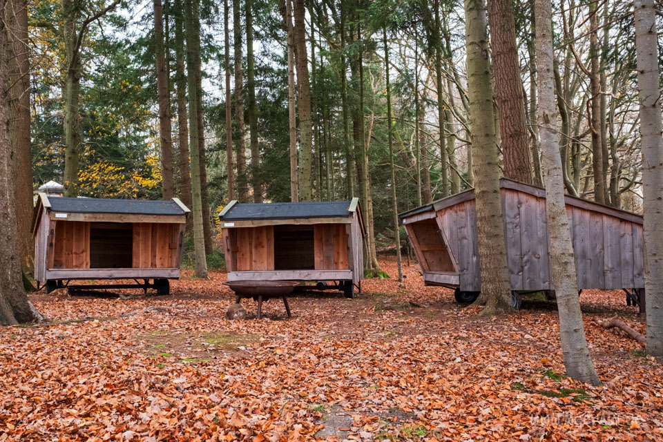 Ein Herbstspaziergang auf der Halbinsel Houens Odde